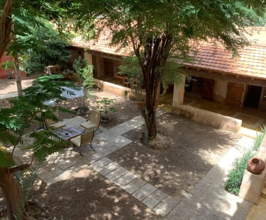 Lacourdufleuve aan de rivier in Senegal, omgeven door groen