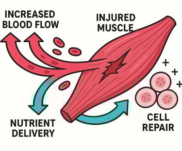 Medical illustration showing blood flow and cell repair from healing peptides.