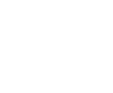 The Iron Remnant Vector Logo