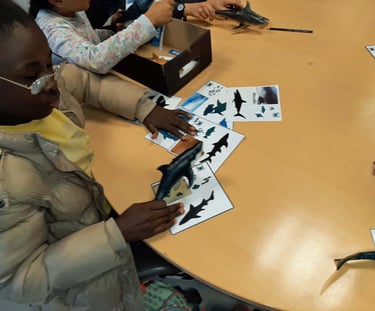 un enfant dans une classe CLAS avec un requin