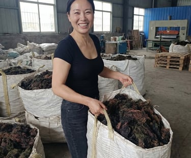 Dried Gracilaria seaweed 15% moisture and 3% impurity for agar-agar, Agriculture and Cosmetics