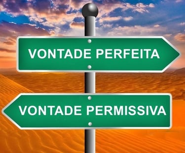 imagem de uma placa de sinalização escrita vontade perfeita vontade permissiva.
