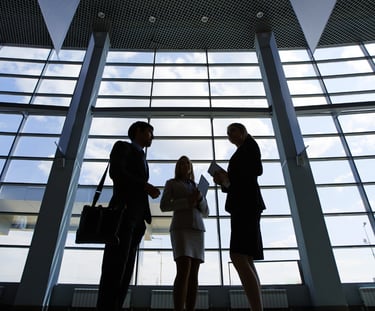 Susitikmas teisiniais klausimais