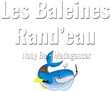 LES BALEINES RAND'EAU