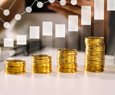 تقديم خدمات الاستشارات الاستثمارية وتحليل الفرص المالية لمساعدة الشركات على اتخاذ قرارات استثمارية 