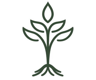 logo NutriDom
