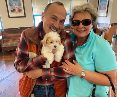 Maltipoo puppies for sale near me
