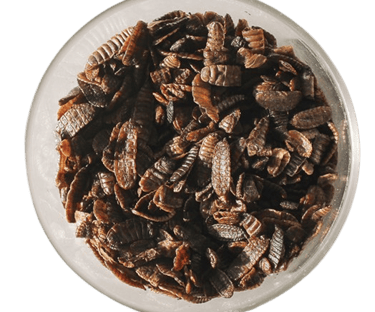 Larvae Dried Larvae Feed for Fish Feed for Poultry