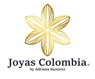 diseñadores web en pereira