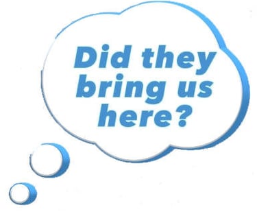 did they bring us here