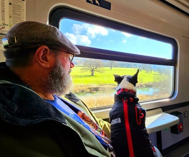 Yoki on the train on Danny's lap looking out the window at the UK country side.