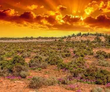 image of kalgoorlie desert in evening
