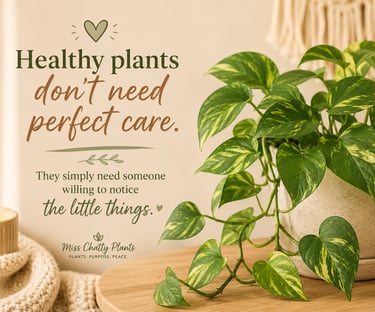 Inspirational quote beside a healthy trailing pothos on a warm neutral background.