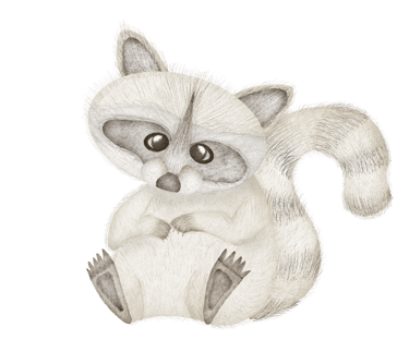 Raccoon illustration for paper stationery and wall art.