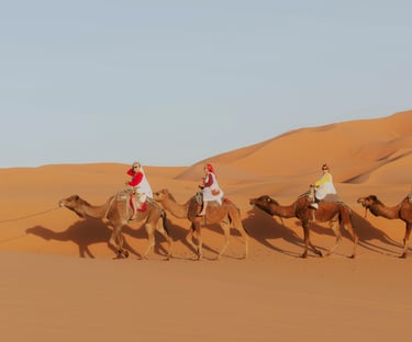 Camel Trekking in Morocco Sahara: Complete Travel Guide