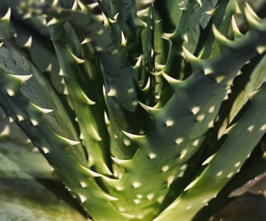 Magalie Noé Energéticienne témoignage Emilie F