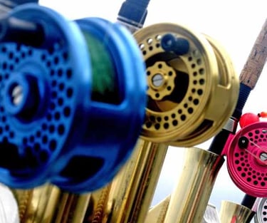 a variety of fishing reel reel reel reel reel reel reel reel reel reel reel reel