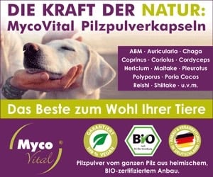 Vitalpilze für Tiere