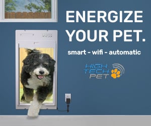 A dog walking through a High Tech Pet automatic smart wifi electronic pet door installed in a wall.