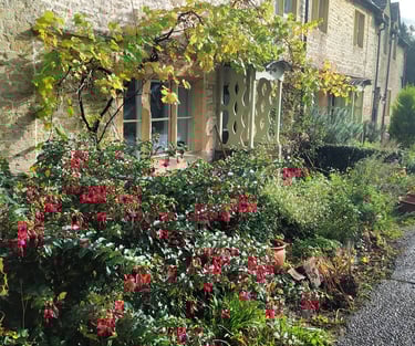 コッツウォルズ穴場 Hidden Cotswolds flowers
