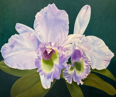 Translucent monumental lavender orchid painted by Christine Knize