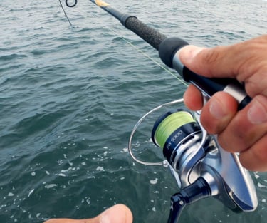 Set the hook sea bass fishing