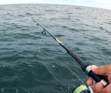 Bottom fishing