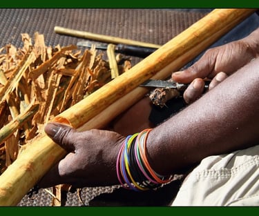 monreve ceylon - ceylon cinnamon- export-sri lanka