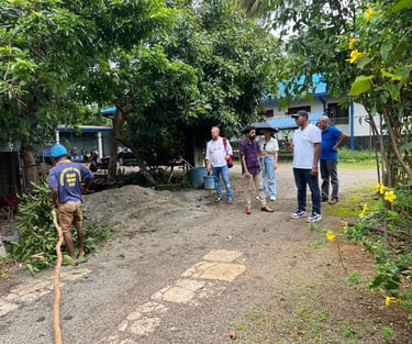 monreve ceylon - ceylon cinnamon- export-sri lanka