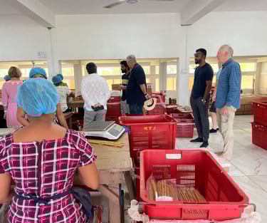 monreve ceylon - ceylon cinnamon- export-sri lanka