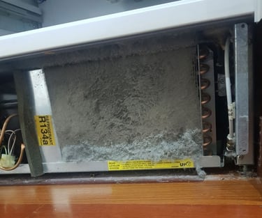 Photo of the clogged refrigerator coils
