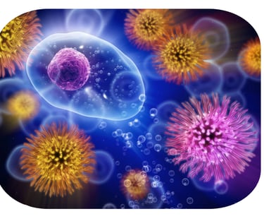 illustration Histamine, prise en charge nutritionnelle