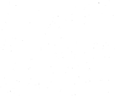 Best Digital Marketing Agency in kerala