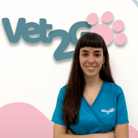 Cachorro mestizo adoptable en un refugio español.