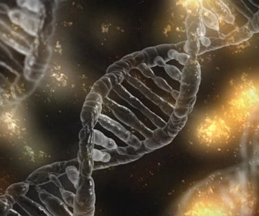 dna double helix