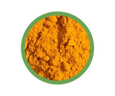 green tea extract powder