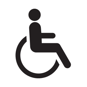 handycap icon
