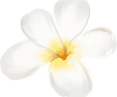 fleur-de-frangipanier