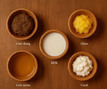 gaura organic pure panchgavya ingredients