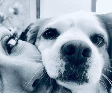 photography Me and Crika, my dog. 