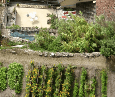 Aerial view of a real life French potager