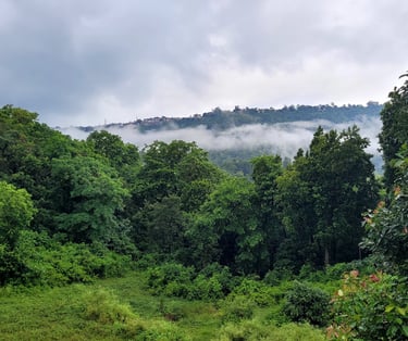 mountain view at Green Acres Homestay