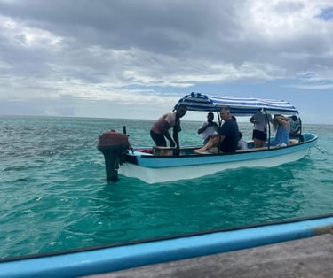 Zanzibar Mnemba Island day tour boat trip for dolphin watching and snorkeling adventure