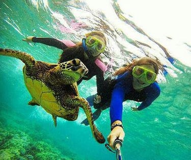 Tourists swimming and taking a selfie with a sea turtle during a Mnemba Island Zanzibar snorkeling tour