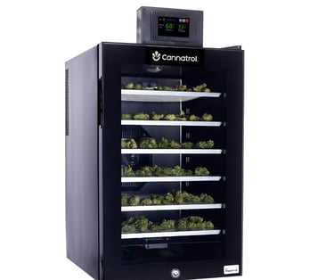 a refrigerator with a bunch of broccoli growing in it