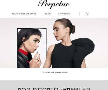 Image Accueil Perpetuo Mockup Mac Book