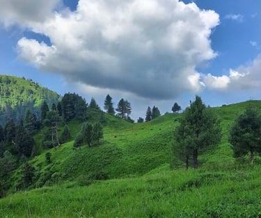 Miranjani top view in summer with clouds in background 