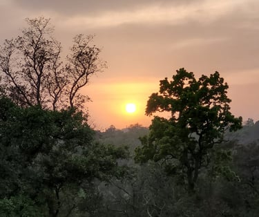 sunset at Green Acres Homestay
