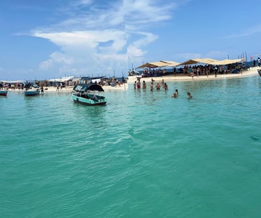 A day tour to Nakupenda Sandbank with visitors enjoying tropical views, beach activities, and live seafood cooking in Zanziba