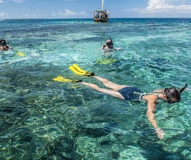 Tourists snorkeling on a Mnemba Island Zanzibar day tour with crystal-clear waters and tropical marine life